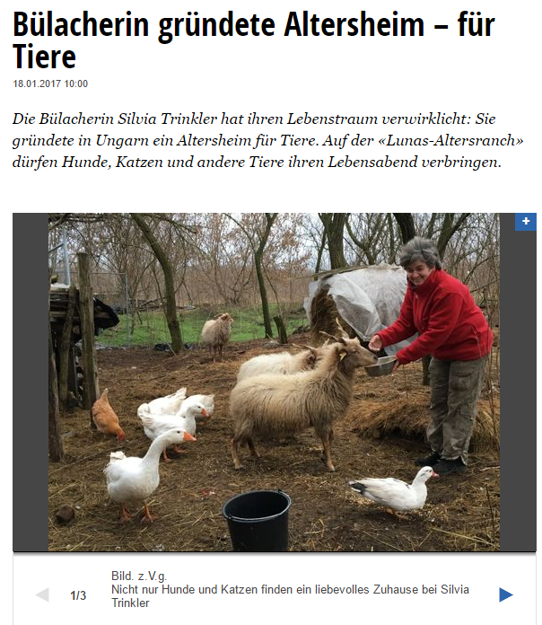 Presse LunasAltersranch.ch